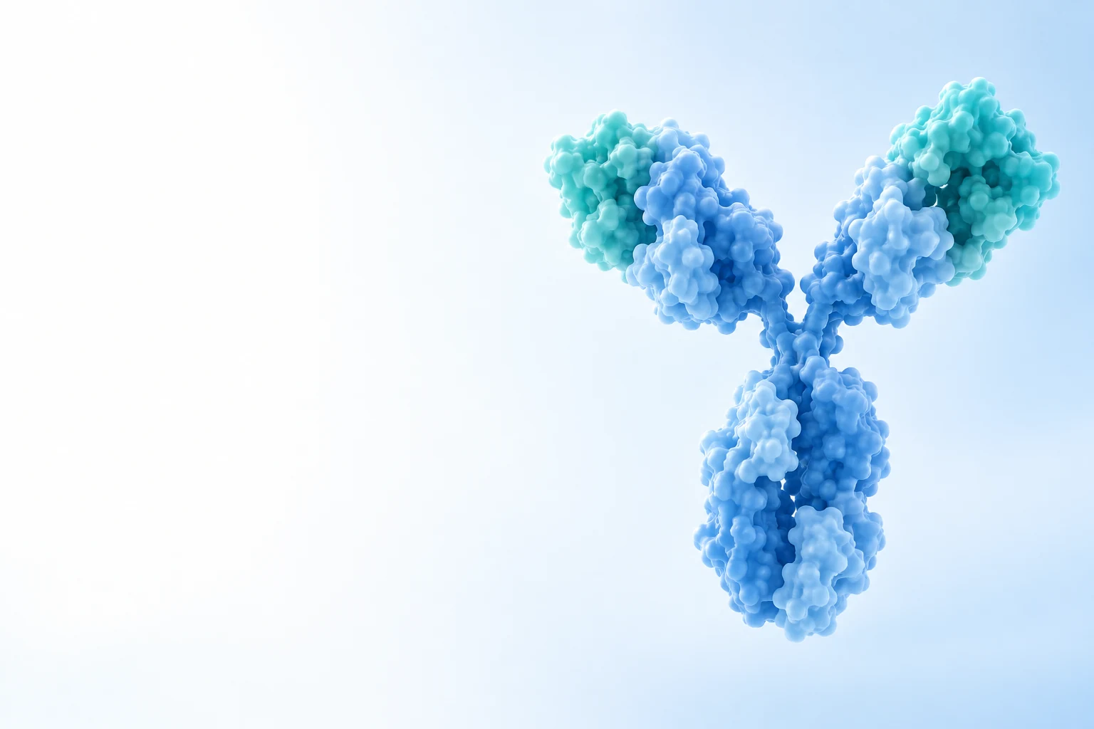 Antibody Tools scientific illustration