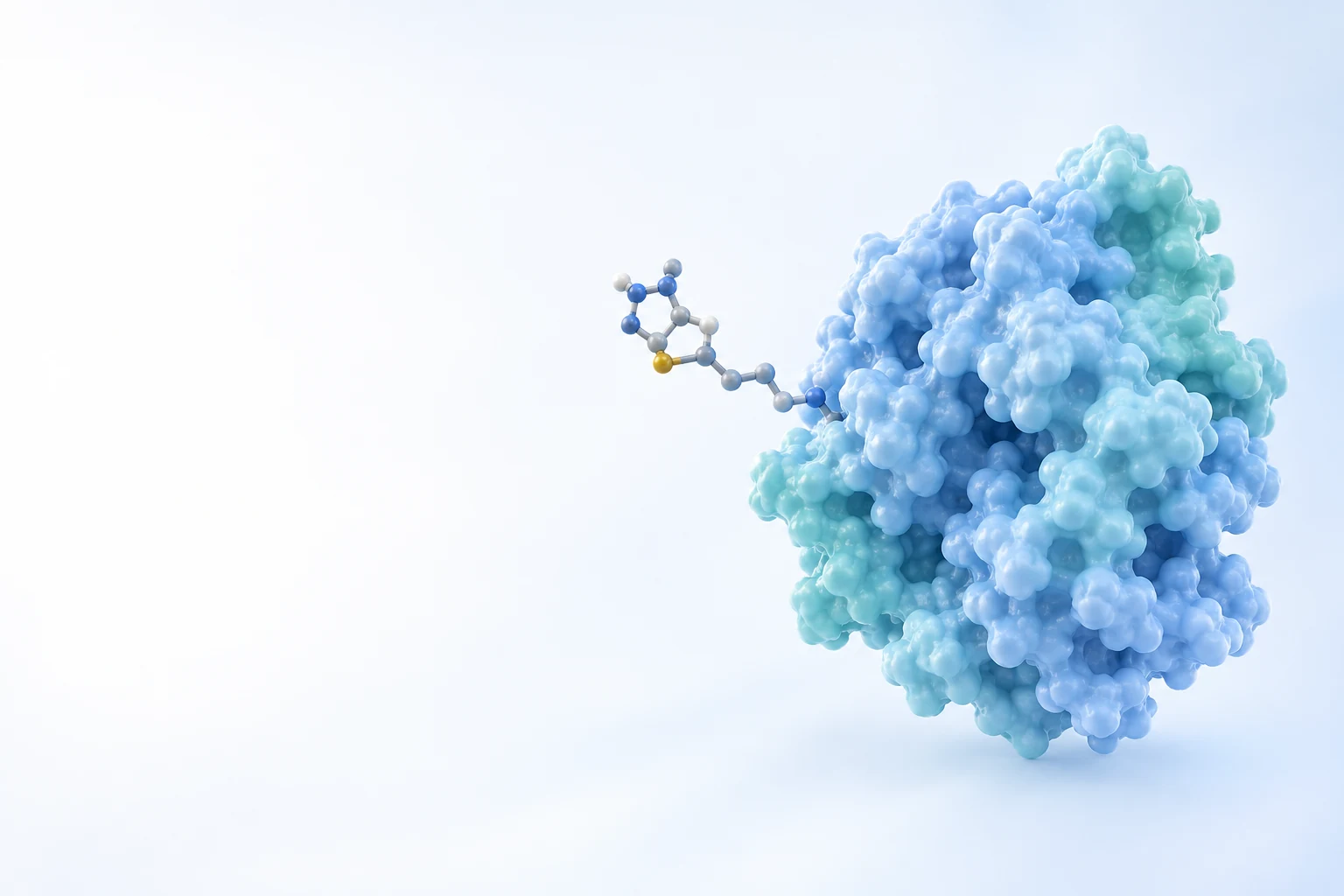 Biotinylated Proteins scientific illustration
