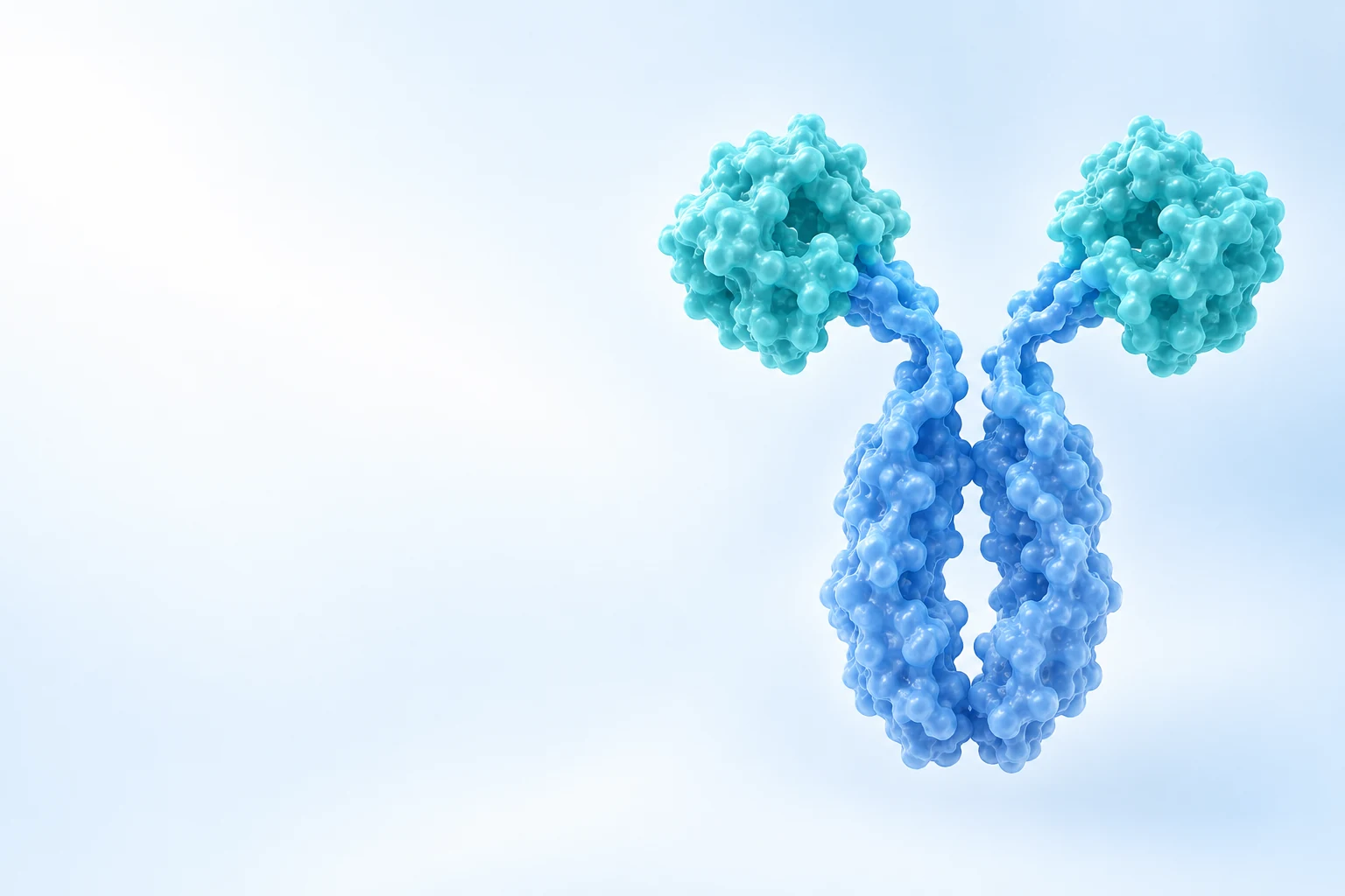 Fc Fusion Proteins scientific illustration