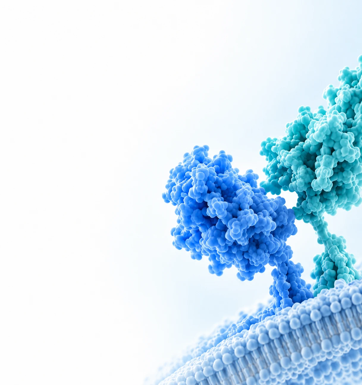 Immune Checkpoint Proteins scientific illustration