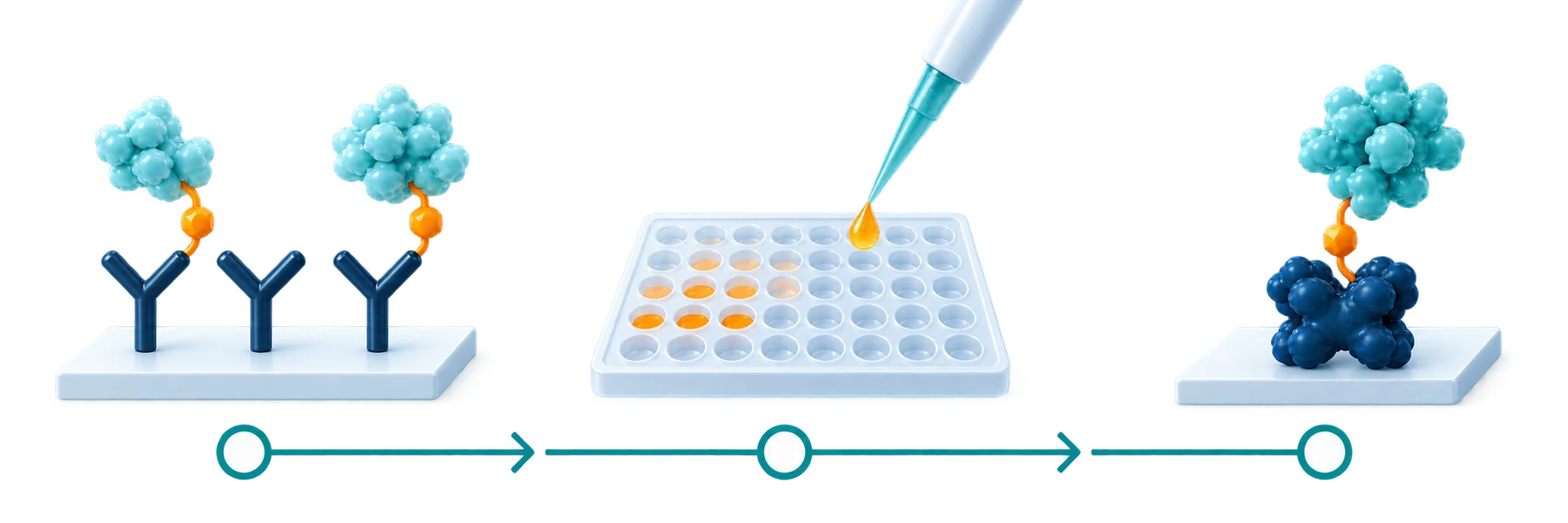 Illustrated assay route from SPR and BLI through ELISA screening to streptavidin capture