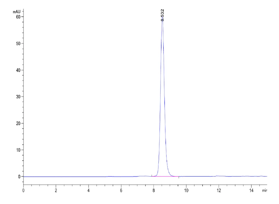 Real SEC-HPLC quality-control data for PROVETOP anti-VEGFR2 antibody VEGFR2-AB001