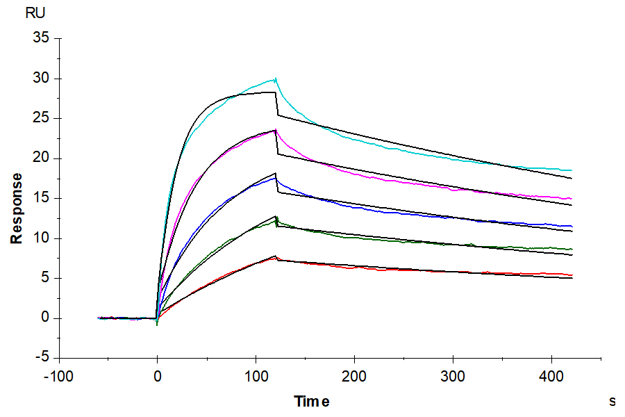 A2AR-HP001 A2R-HM1N1-SPR-original result