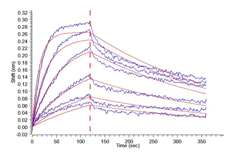 BCMA-CF001 BCM-CM217-BLI-2 result