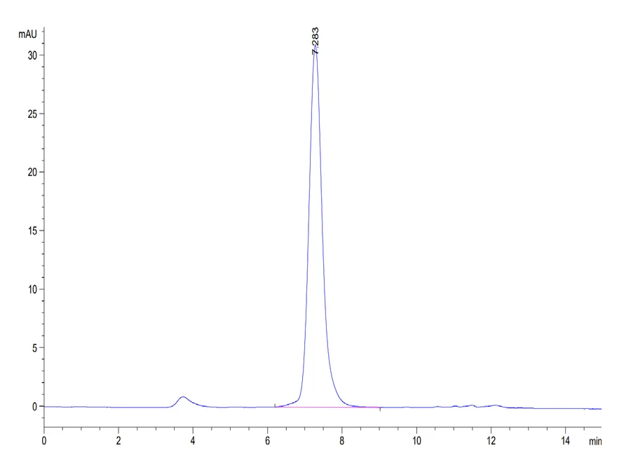 2B4-HP003 SEC-HPLC result