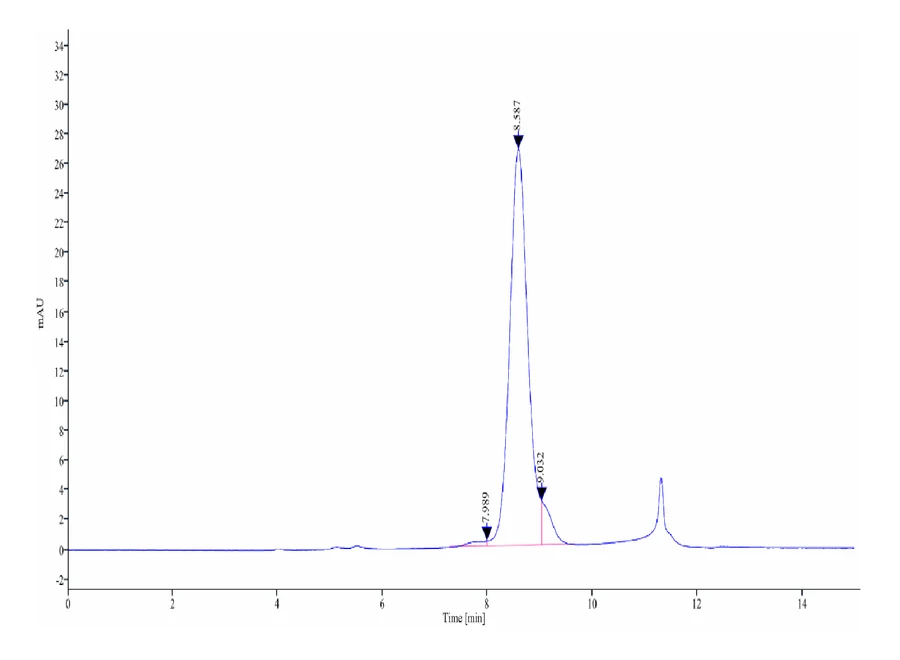 41BB-HP003 SEC-HPLC result