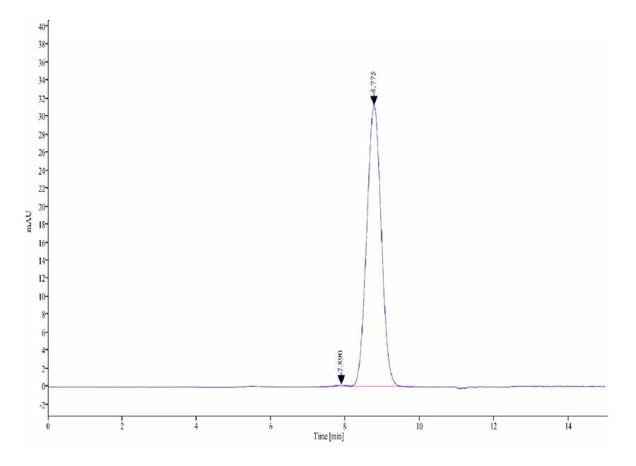 41BB-HP004 SEC-HPLC result