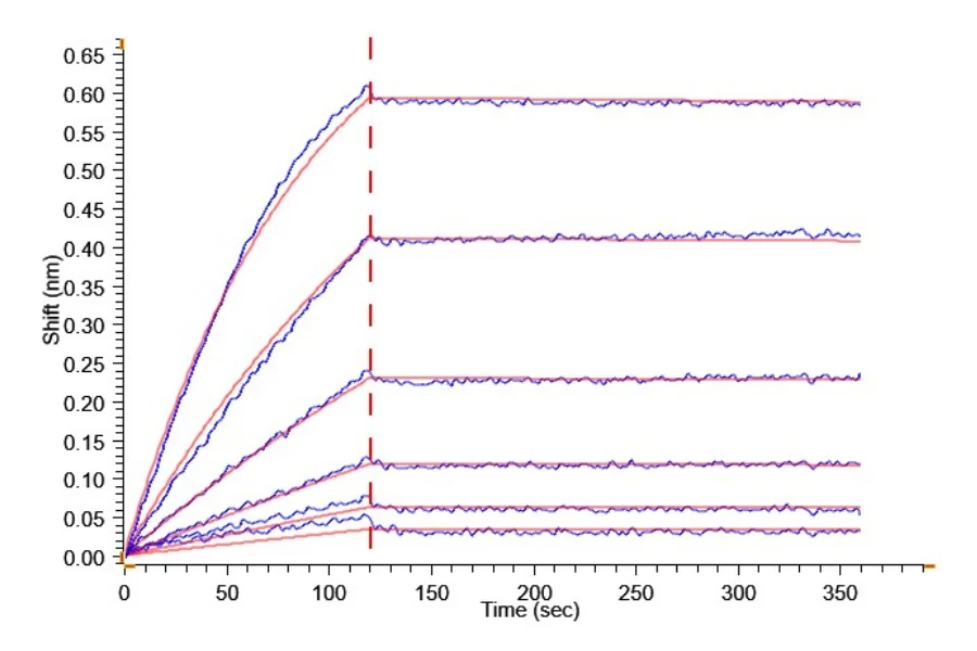 41BB-HP005 BLI result