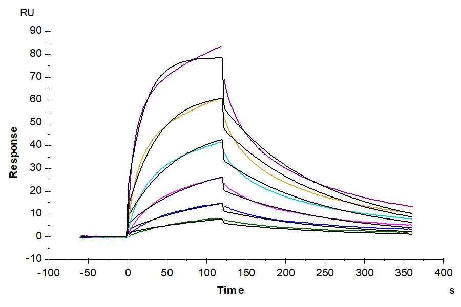 ACTIVINA-HP001 SPR-2 result