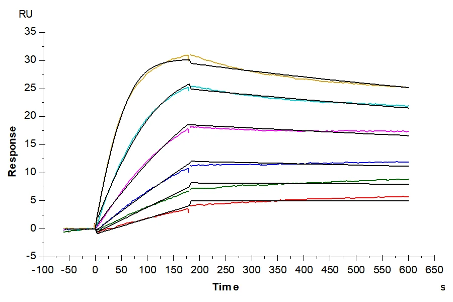 ACTIVINA-HP001 SPR result