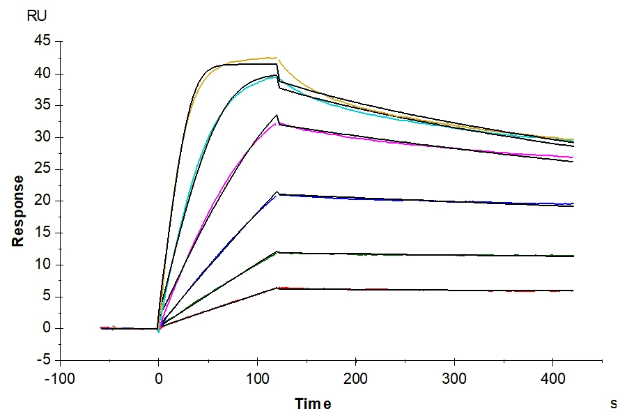 ACTIVINRIIA-HB003 SPR result