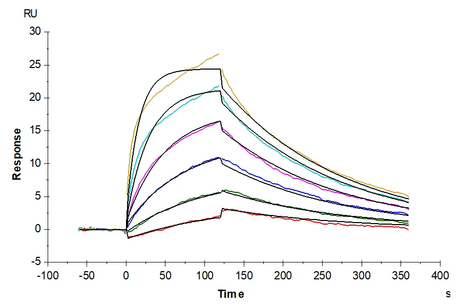 ACVR1B-HF001 SPR-2 result