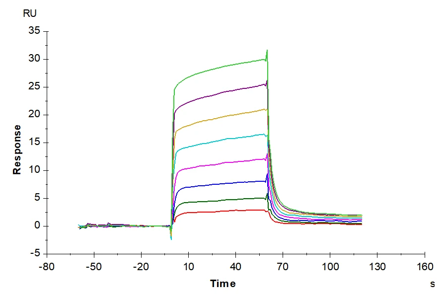 ACVR1B-HF001 SPR result