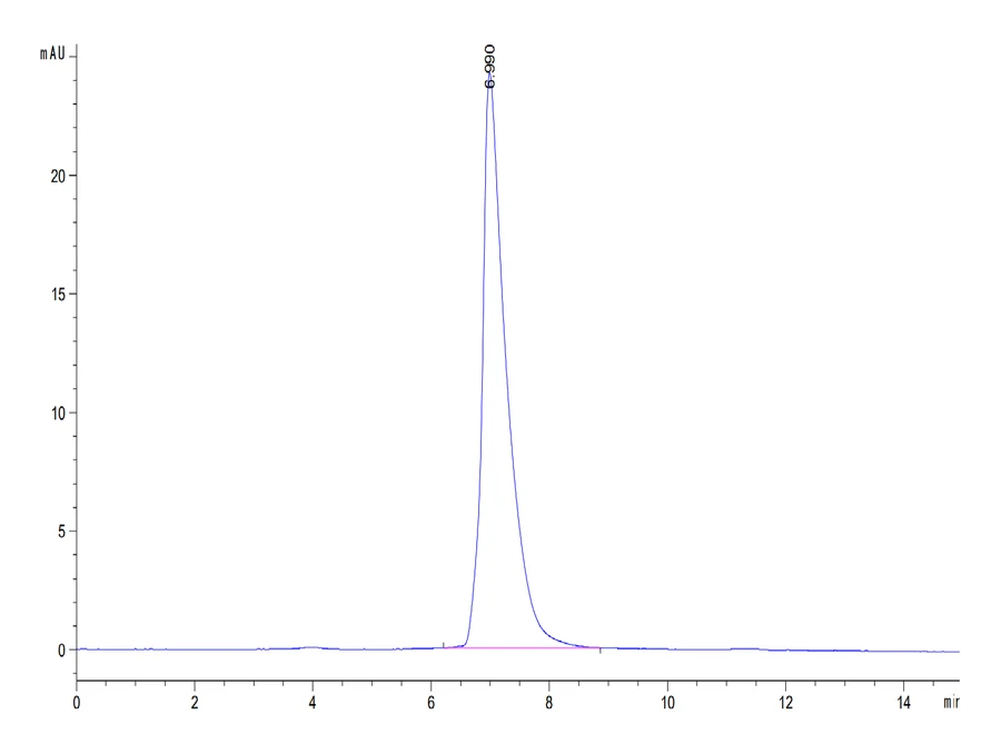 ALCAM-HB002 SEC-HPLC result