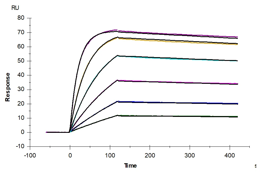 ALK7-HB001 SPR result