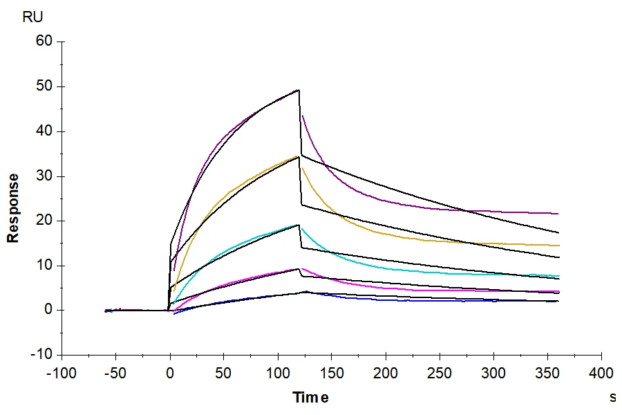 ALPP-CB001 SPR result