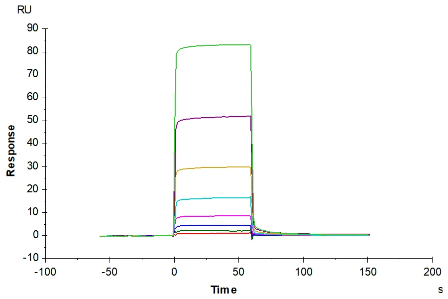 ANGPT2-HB001 SPR result
