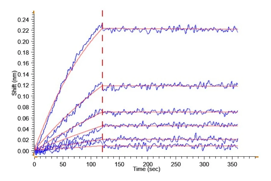 AXL-HF001 BLI result