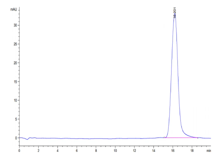 B7H3-HB002 SEC-HPLC result