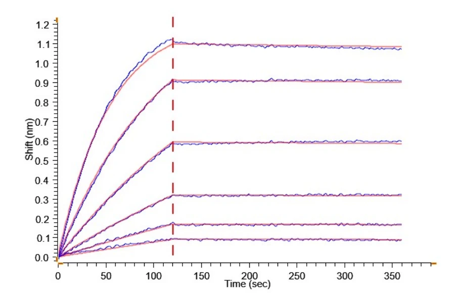 B7H3-HB003 BLI result