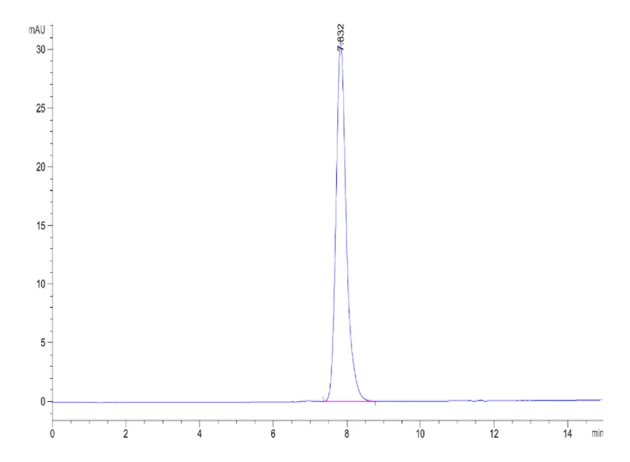 B7H3-HB003 SEC-HPLC result