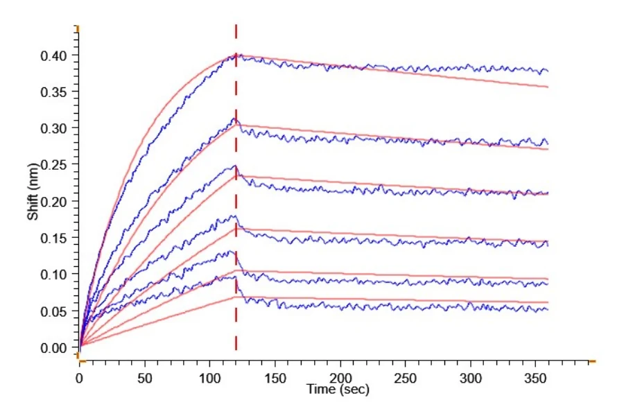 B7H3-HP005 BLI result