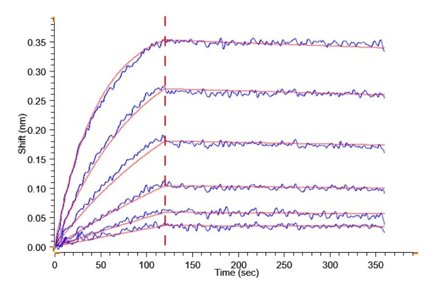 B7H3-HP007 BLI result