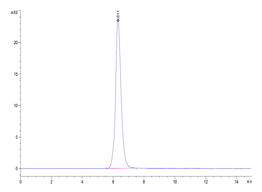 B7H3-HP010 SEC-HPLC result