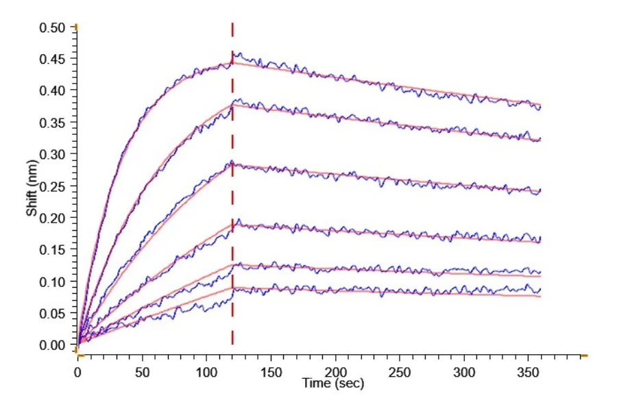 B7H3-HP011 BLI result