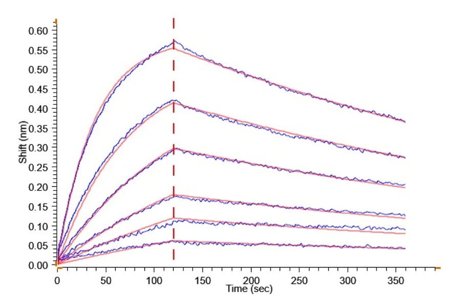 B7H4-CP002 BLI result