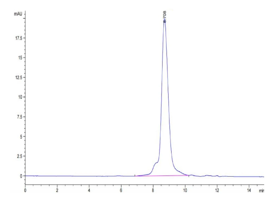 B7H4-CP002 SEC-HPLC result
