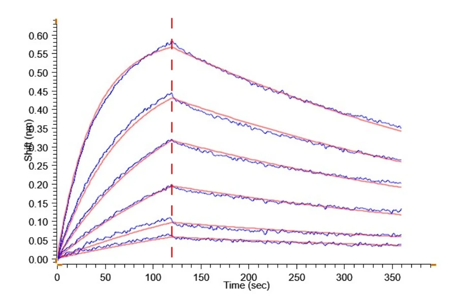 B7H4-HP002 BLI result