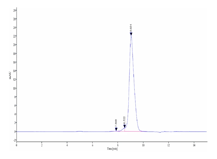 B7H4-HP002 SEC-HPLC result