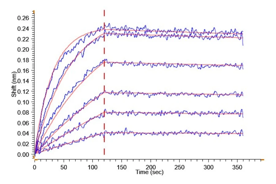 B7H4-HP003 BLI result