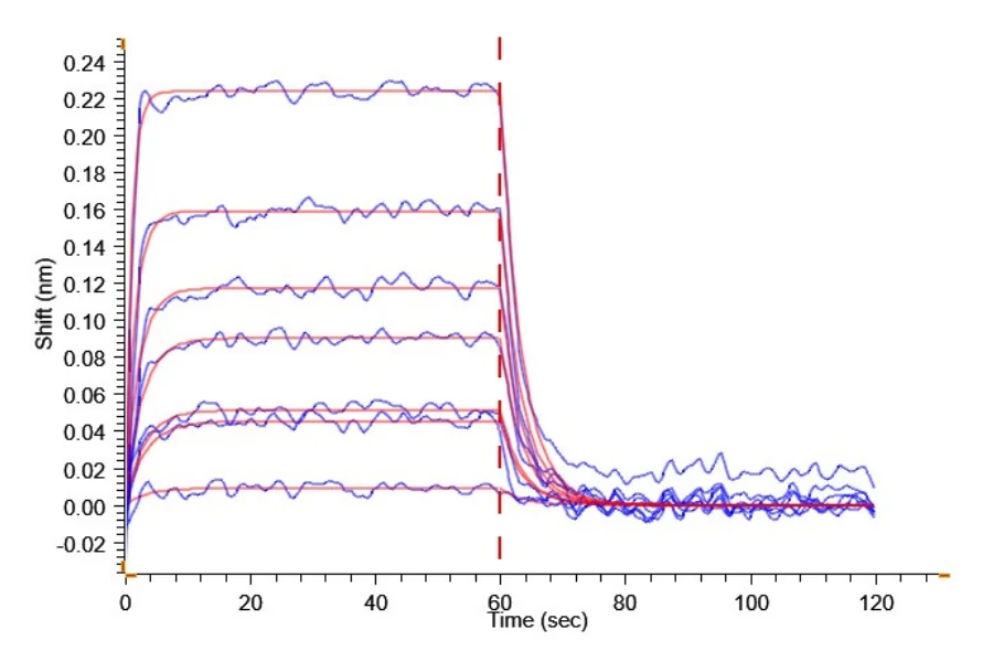 BAFF-CB002 BLI result