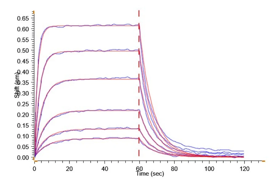 BAFF-HB003 BLI result