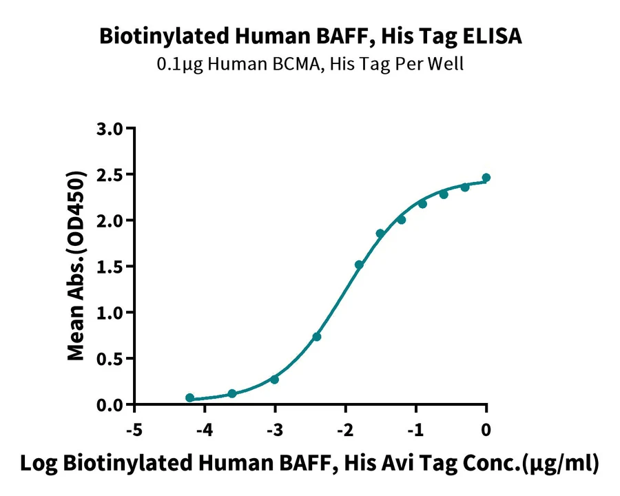 BAFF-HB003 ELISA-2 result