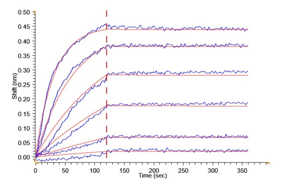 BAFFR-HB001 BLI-2 result