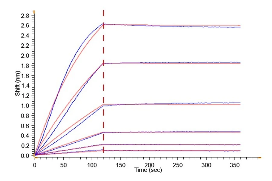 BAFFR-HB001 BLI result