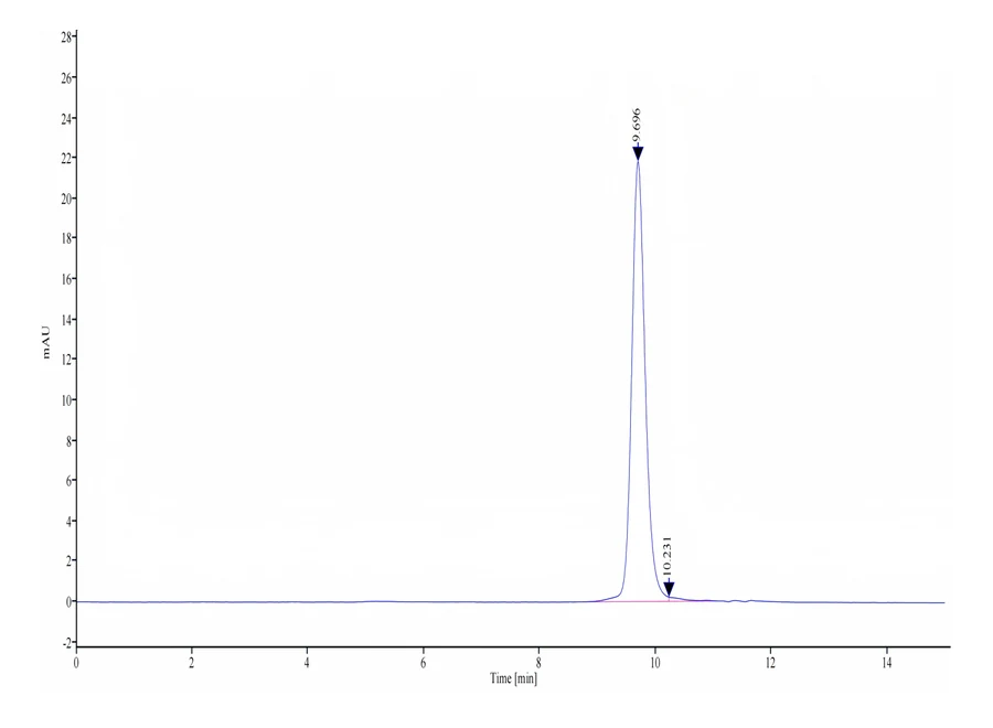 BAFFR-HB001 SEC-HPLC result