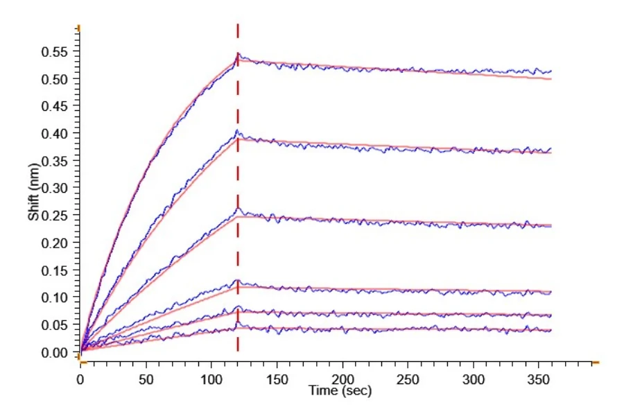 BAFFR-MF001 BLI result