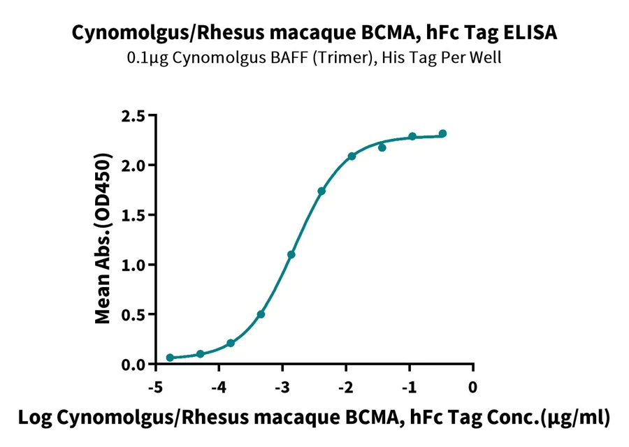 BCMA-CF001 ELISA-3 result