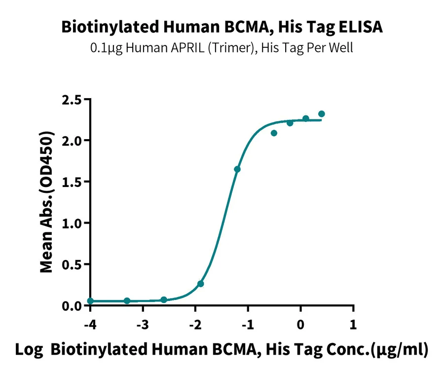 BCMA-HB003 ELISA-2 result