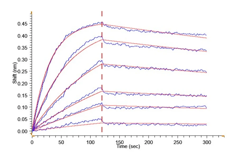 BCMA-HF001 BLI-2 result