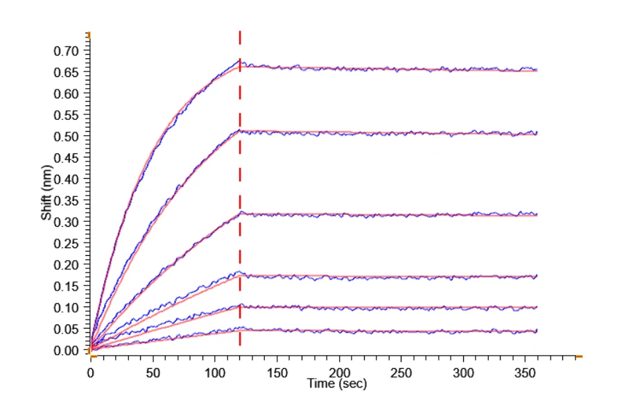 BDCA2-CF002 BLI result