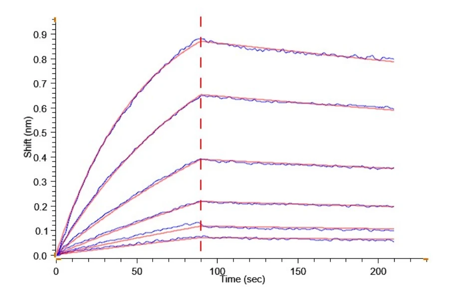 BETAKLOTHO-HP001 BLI result