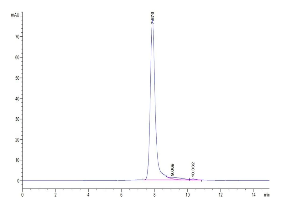 BETAKLOTHO-HP001 SEC-HPLC result