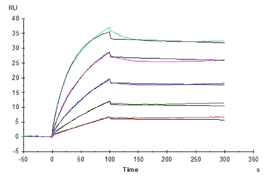 BETAKLOTHO-HP001 SPR result