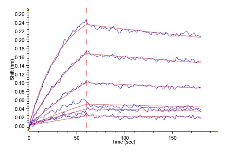 BST2-HF001 BLI result