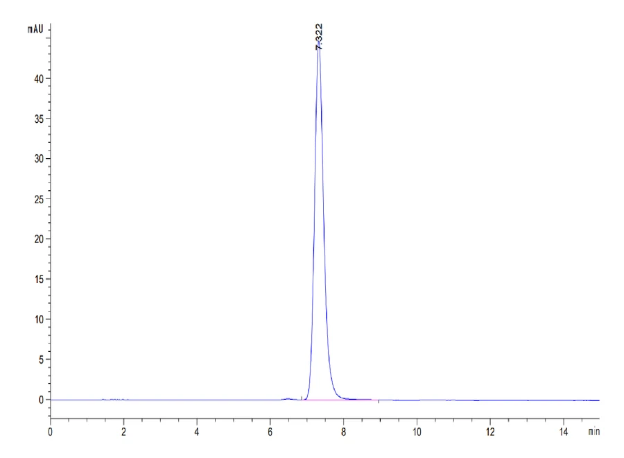 BST2-HF001 SEC-HPLC result